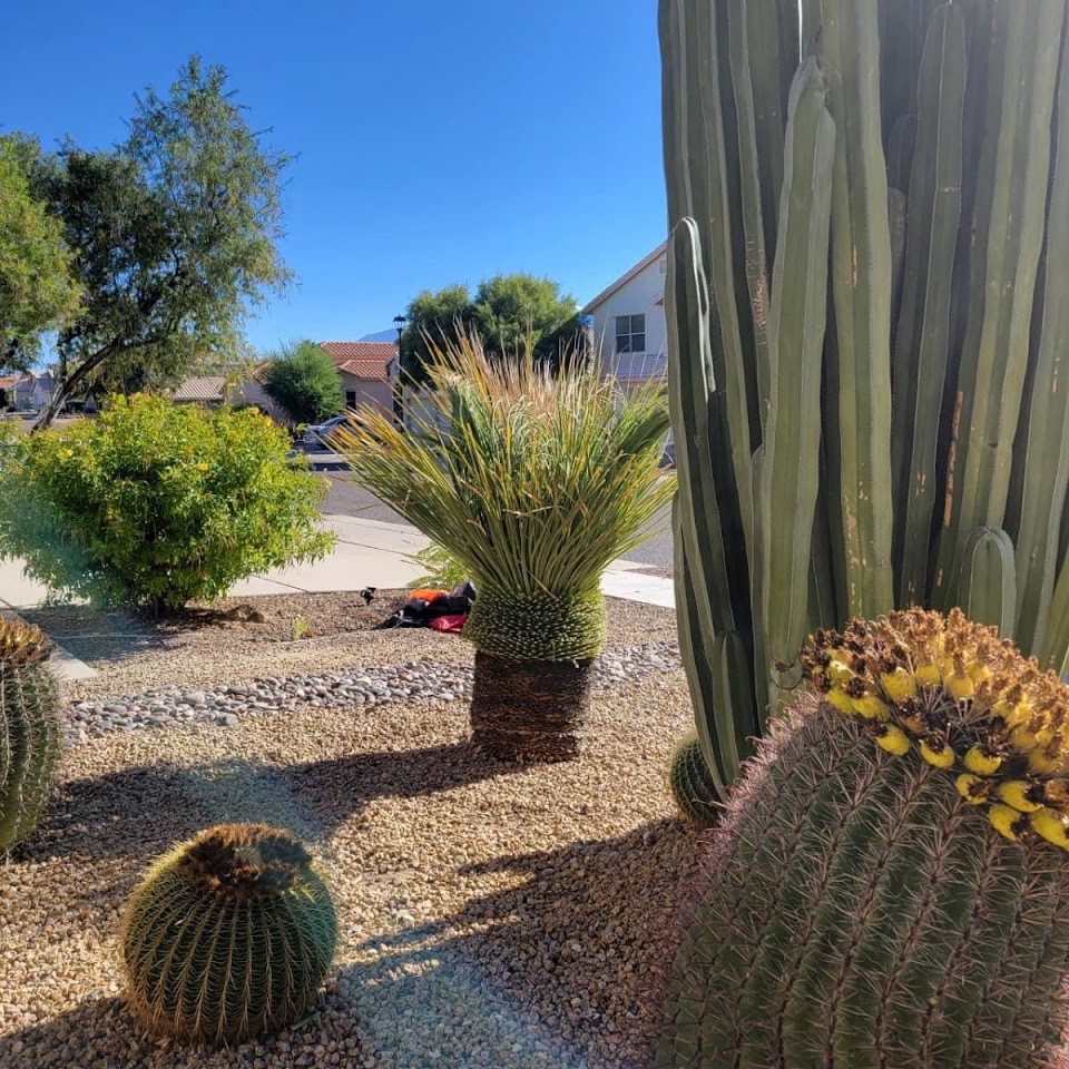 SoCo Landscape Maintenance LLC project